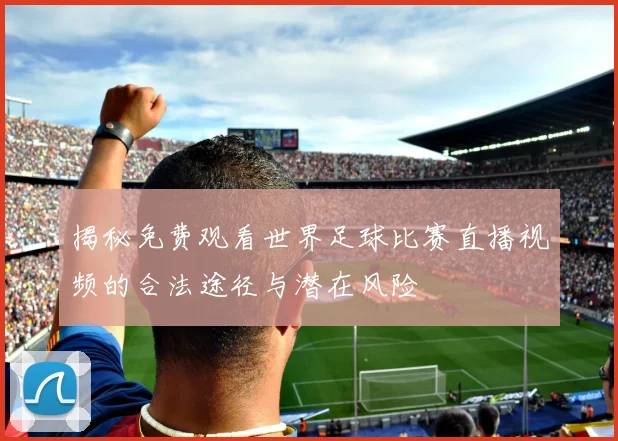 揭秘免费观看世界足球比赛直播视频的合法途径与潜在风险