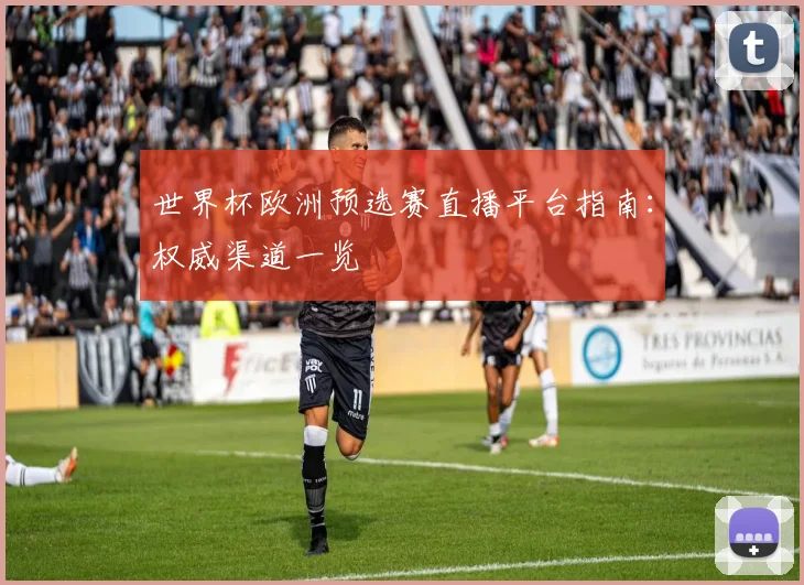 世界杯欧洲预选赛直播平台指南：权威渠道一览