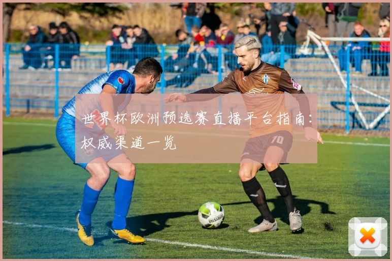 世界杯欧洲预选赛直播平台指南：权威渠道一览
